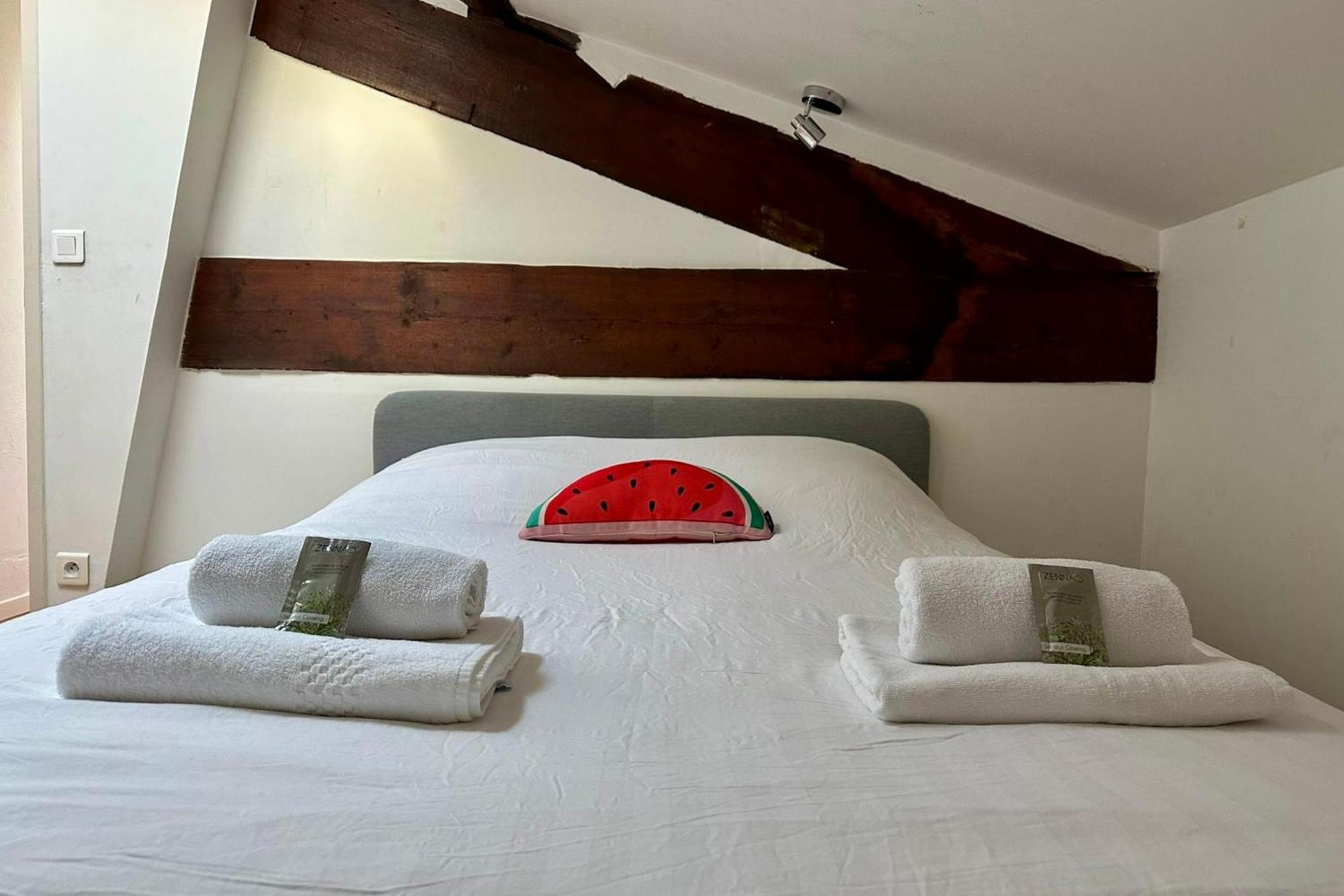 The Duplex- Air-Conditioned 3 Bedrooms In The Center Of Montpellier! Екстер'єр фото